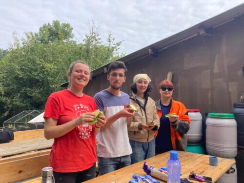 016-WorkCamp2025-KNS