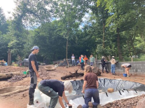 017-WorkCamp2025-KNS