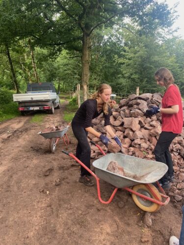 058-WorkCamp2025-KNS