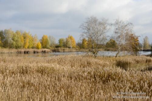 Teiche-Kraniche-Linum-Damschen-12110103