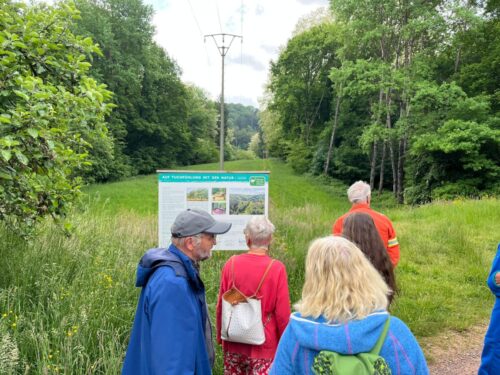 Inforveranstaltung Klimapatinnen 06